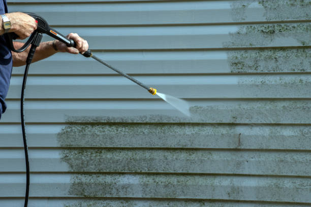 Best Roof Pressure Washing  in Bladenboro, NC
