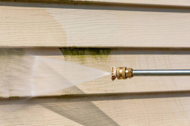 Best Power Washing Near Me  in Bladenboro, NC